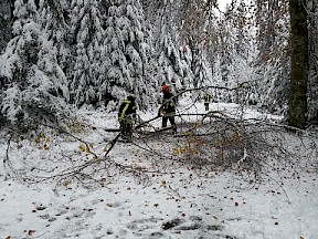 Artikelvorschaubild 28.10.2018 - Schneebruch