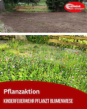 Artikelvorschaubild Pflanzaktion der Kinderfeuerwehr